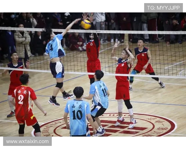 排球盛宴：深入解析西安排球队的战术思维与团队意识